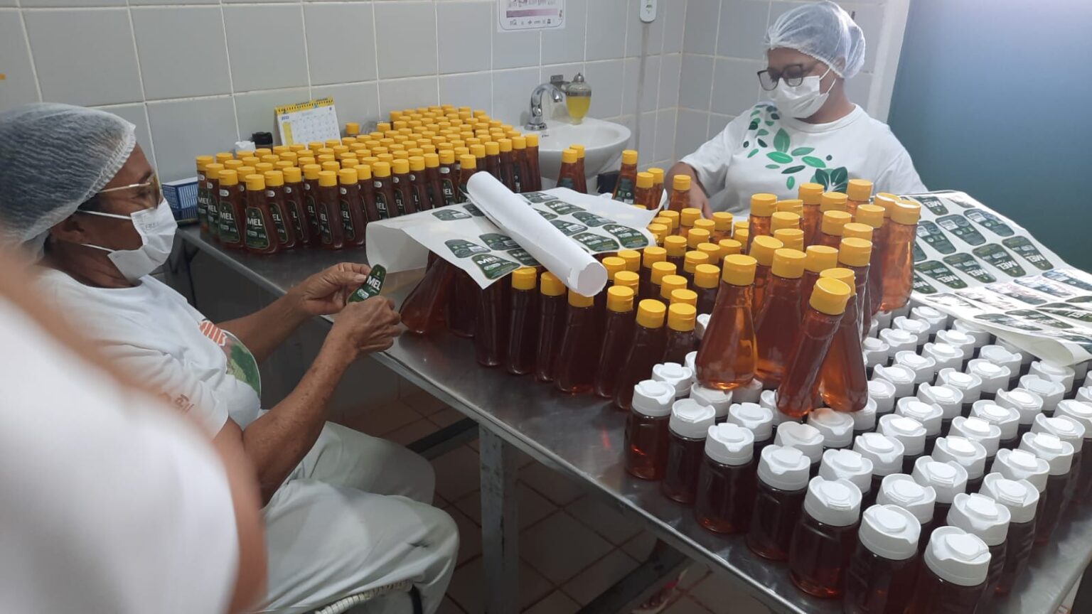 Piauí busca novos mercados para exportar a produção de mel do estado