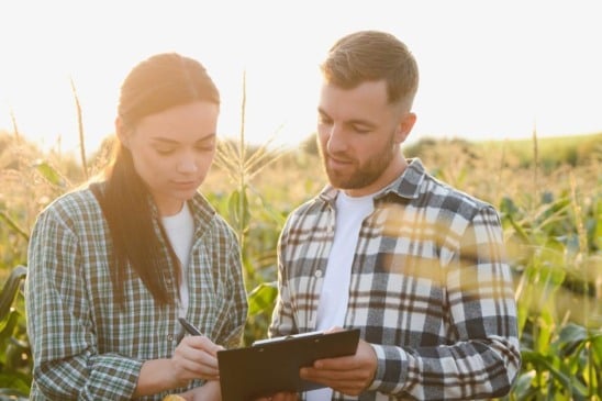 Homem e mulher chegando produção no tablet no campo