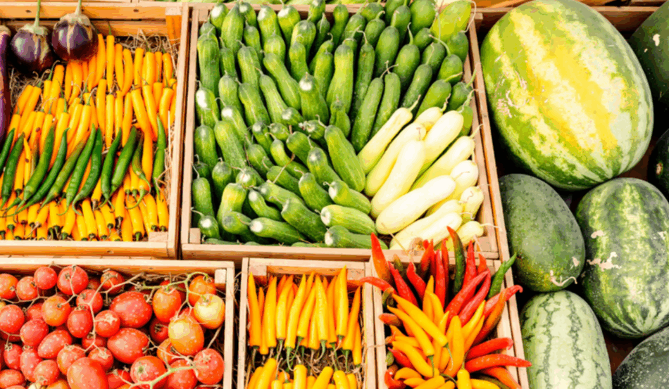 A imagem representa o Certificado Fitossanitário Eletrônico (e-Phyto) do Ministério da Agricultura