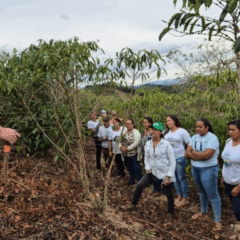 Mulheres do Café promove curso para agricultoras no sul capixaba