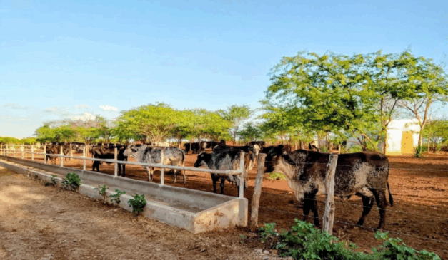 Fotos: Ascom/Coderse