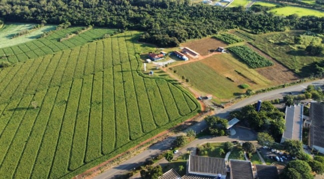 Foto ilustra a farm lab da Agnest