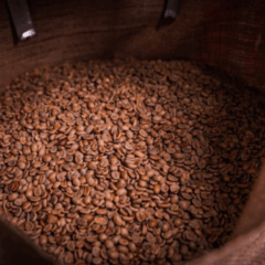 Produtores visitam empresa exportadora e apresentam café robusta amazônico como aposta no comércio global