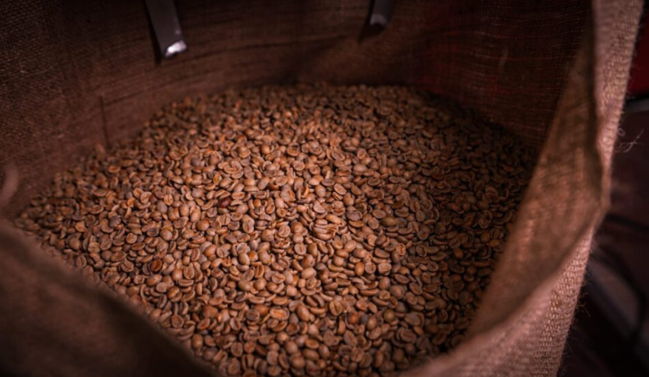 Produtores visitam empresa exportadora e apresentam café robusta amazônico como aposta no comércio global