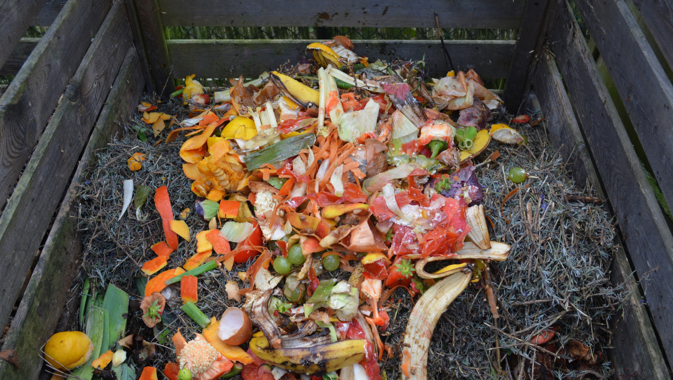 Compostagem orgânica ganha força na agricultura paraense