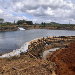 O Governo de Sergipe concluiu, nesta semana, as obras do perímetro irrigado estadual de Canindé de São Francisco, no Alto Sertão