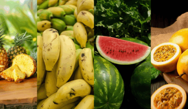 O Governo do Tocantins, através da Secretaria de Estado da Agricultura e Pecuária (Seagro) e da Agência de Defesa Agropecuária do Tocantins (Adapec), abriu inscrições para a 2ª edição da Rota da Fruticultura 2025, que será realizada entre 15 e 18 de setembro