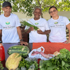 O Programa Planta Roraima, criado pelo governo do estado, por meio da Secretaria do Trabalho e Bem-Estar Social (Setrabes), criou uma nova forma de renda fixa para os agricultores, com uma feira semanal realizada todas as quintas-feiras