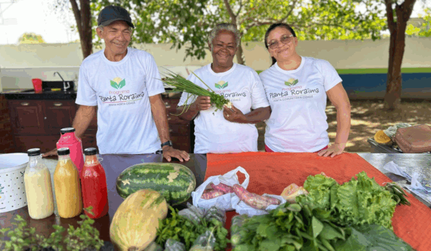 O Programa Planta Roraima, criado pelo governo do estado, por meio da Secretaria do Trabalho e Bem-Estar Social (Setrabes), criou uma nova forma de renda fixa para os agricultores, com uma feira semanal realizada todas as quintas-feiras