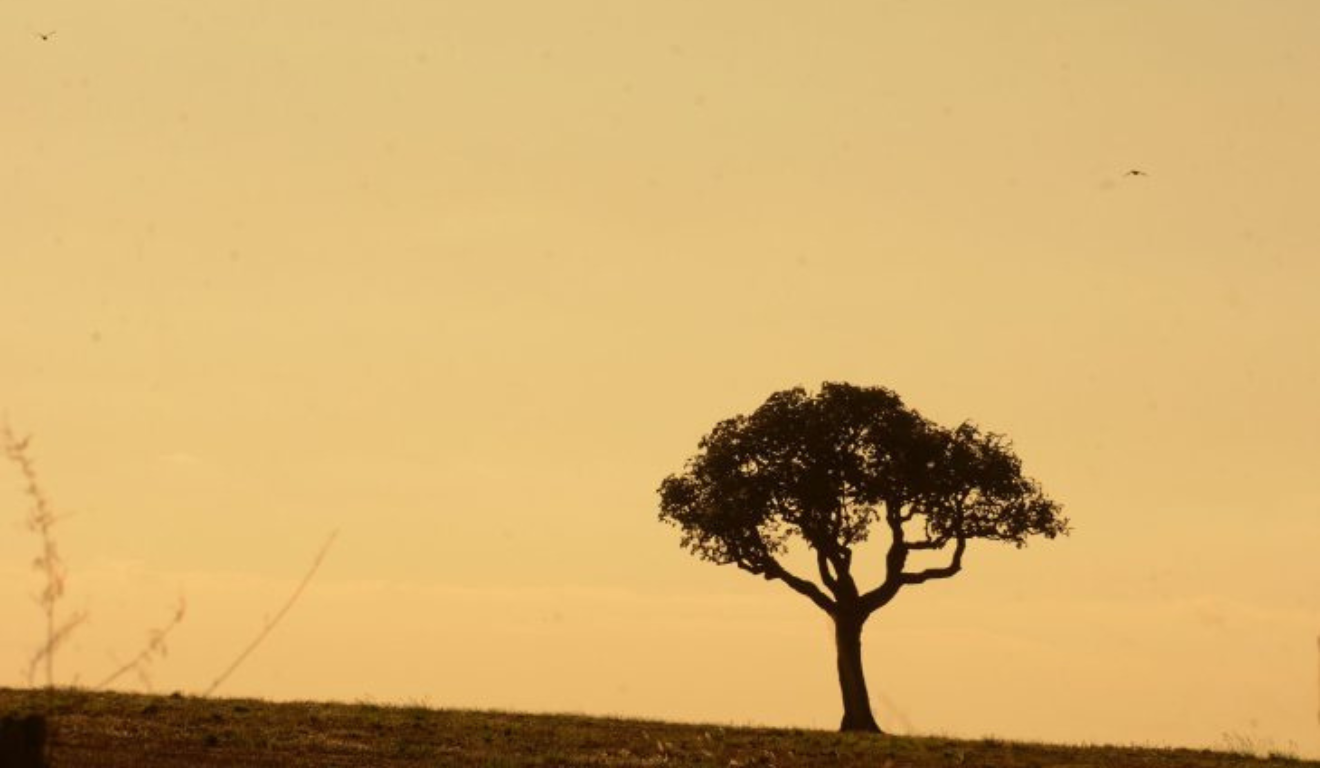 O Governo do Mato Grosso do Sul, através da Secretaria de Meio Ambiente, Desenvolvimento, Ciência, Tecnologia e Inovação (Semadesc) e do Centro de Monitoramento do Tempo e do Clima (Cemtec), alerta para o risco de incêndios florestais na região, em decorrência da estiagem prolongada e altas temperaturas em diferentes regiões do estado