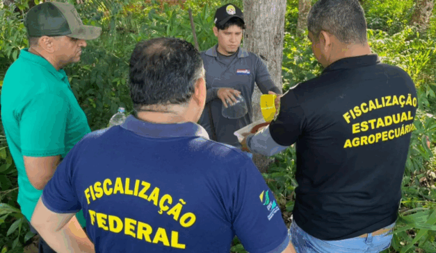 A Agência de Defesa Agropecuária do Pará (Adepará), junto de auditores fiscais federais do Ministério da Agricultura e Pecuária (Mapa), visitaram, hoje (12), a região do baixo Amazonas, em que são promovidas ações de combate à praga mosca-da-carambola
