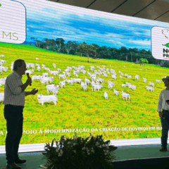 O Programa Precoce/MS registrou mais de 1.023 fazendas desde a modernização, que ocorreu em 2024, de acordo com dados da Secretária de Estado de Meio Ambiente, Desenvolvimento, Ciênca, Tecnologia e Inovação (Semadesc)