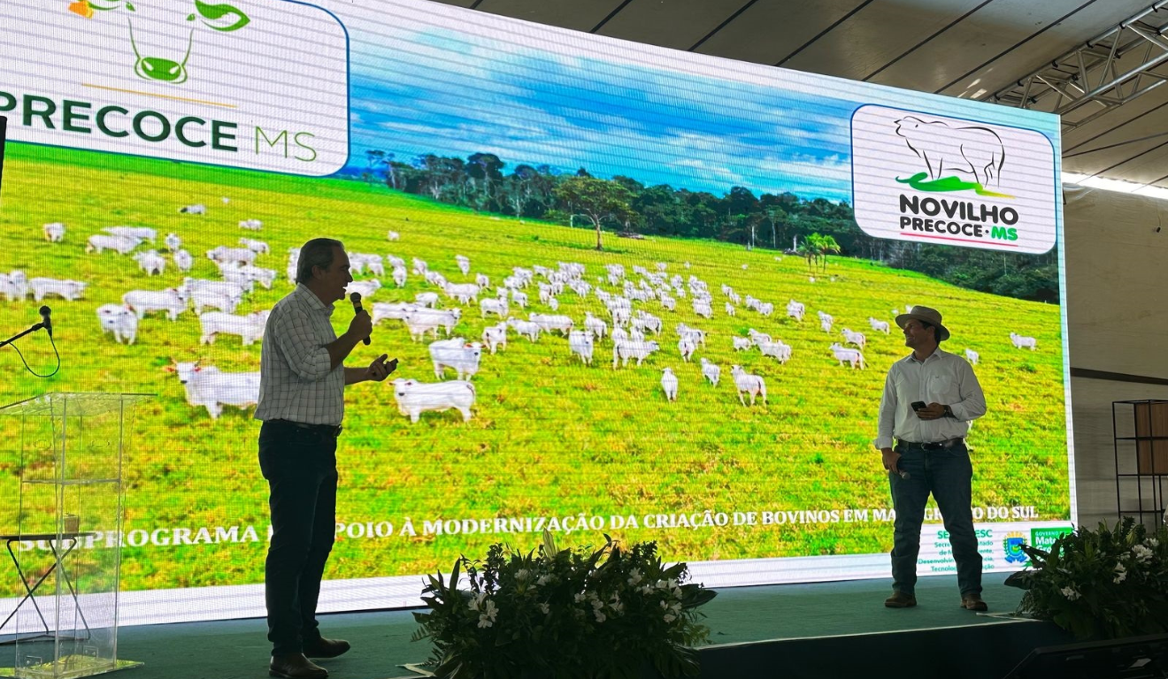 O Programa Precoce/MS registrou mais de 1.023 fazendas desde a modernização, que ocorreu em 2024, de acordo com dados da Secretária de Estado de Meio Ambiente, Desenvolvimento, Ciênca, Tecnologia e Inovação (Semadesc)