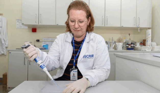 O Instituto de Tecnologia do Paraná (Tecpar) iniciou uma pesquisa para desenvolver, validar e registrar um kit para diagnóstico de leucose enzoótica bovina (LEB), doença viral que afeta animais em todo o mundo O Instituto de Tecnologia do Paraná (Tecpar) iniciou uma pesquisa para desenvolver, validar e registrar um kit para diagnóstico de leucose enzoótica bovina (LEB), doença viral que afeta animais em todo o mundo