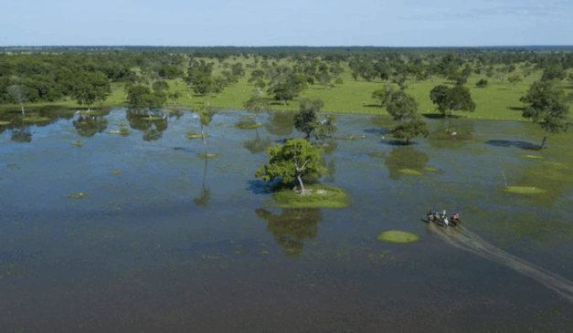 O Governo do Mato Grosso do Sul, através da Secretaria de Meio Ambiente, Desenvolvimento, Ciência, Tecnologia e Inovação (Semadesc), reabriu as inscrições e prorrogou os prazos do Edital de Chamamento Público n. 006/2025 – Fundo Clima Pantanal, referente ao Programa de Pagamento por Serviços Ambientais (PSA Conservação)