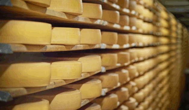 O Governo do Estado de São Paulo lançou o programa Rota do Queijo Paulista, iniciativa criada para valorizar os produtos lácteos