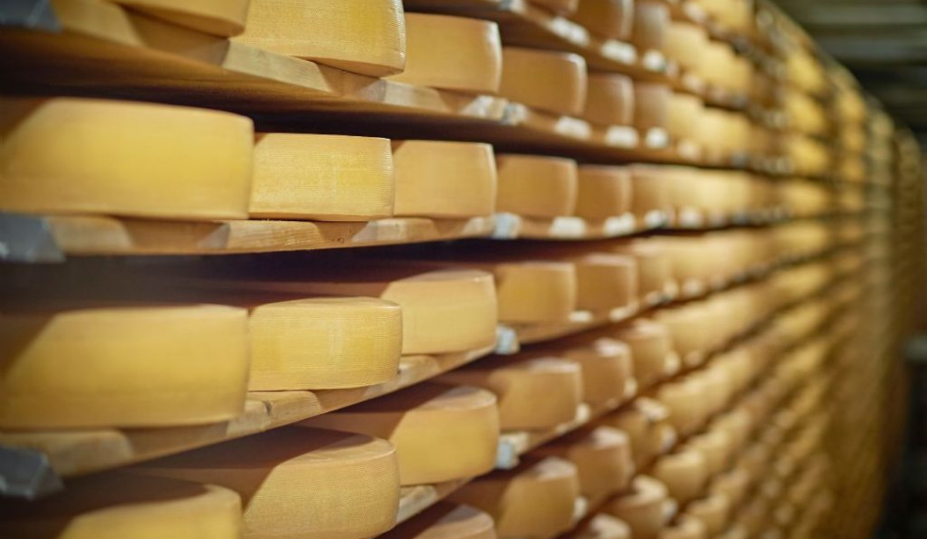 O Governo do Estado de São Paulo lançou o programa Rota do Queijo Paulista, iniciativa criada para valorizar os produtos lácteos O Governo do Estado de São Paulo lançou o programa Rota do Queijo Paulista, iniciativa criada para valorizar os produtos lácteos