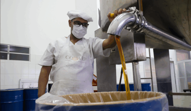 Com propriedades medicinais, Mel da agricultura familiar potencializa merenda escolar no Semiárido Baiano