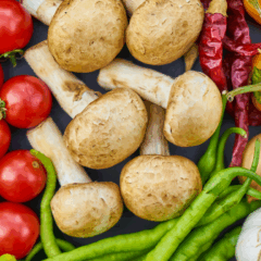 PGPAF setembro 2025: descontos para agricultores são ampliados