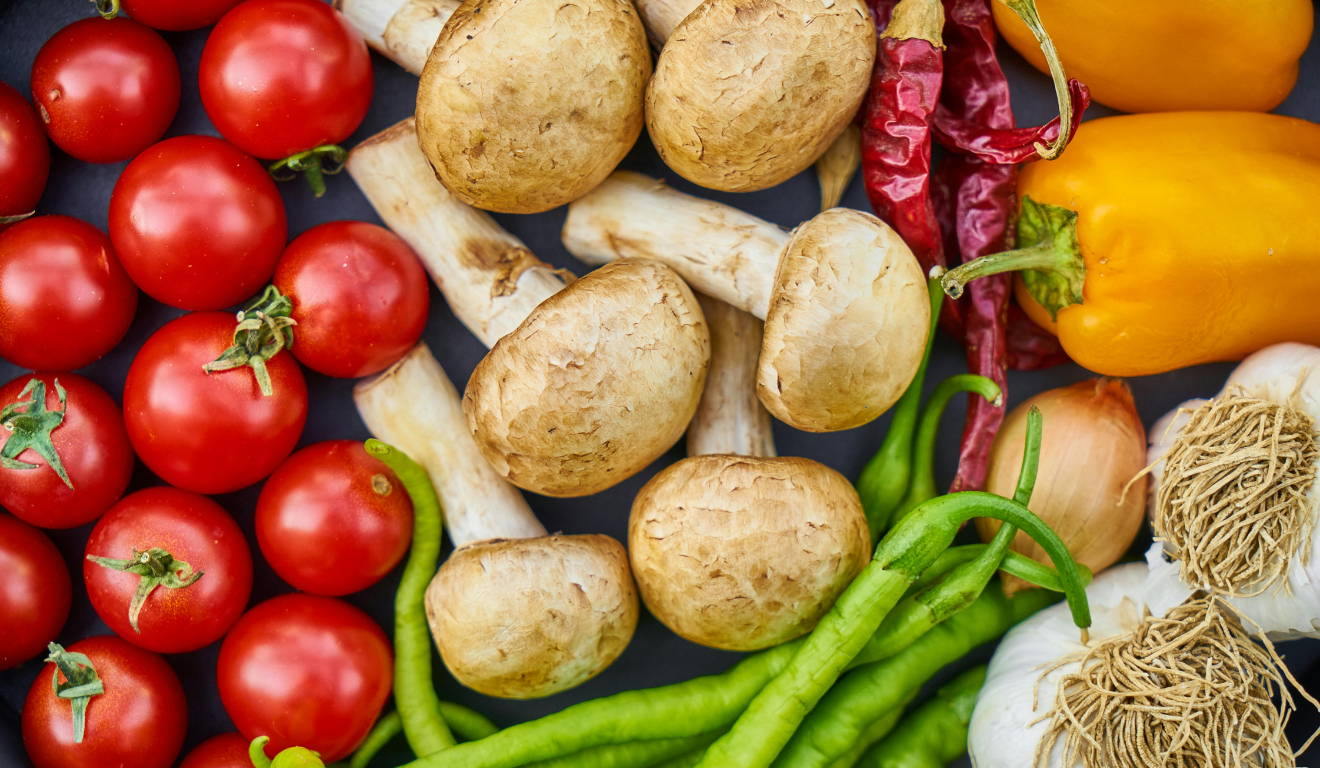 PGPAF setembro 2025: descontos para agricultores são ampliados