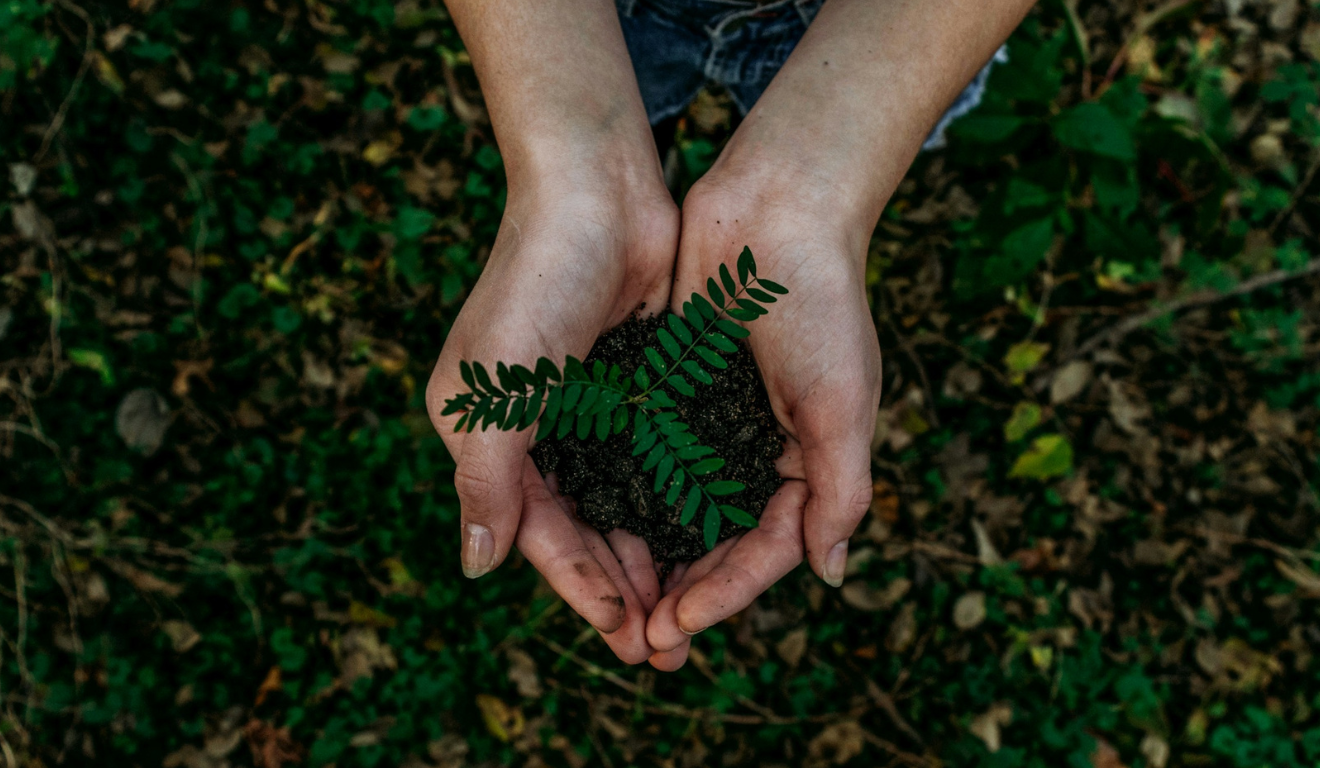 Bioeconomia ilustrada por uma mão cultivando terra com muda verde