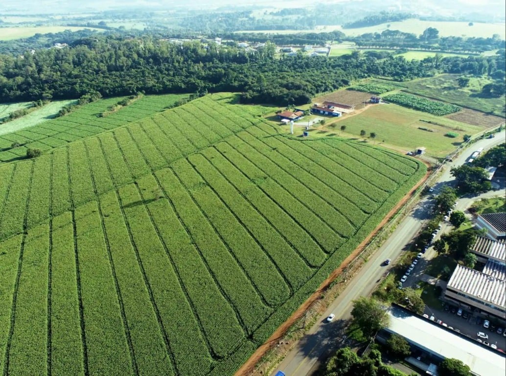 vista aérea do hub de inovação AgNest, em Jaguariúna, SP,