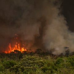 Foto: Marcelo Camargo/Agência Brasil