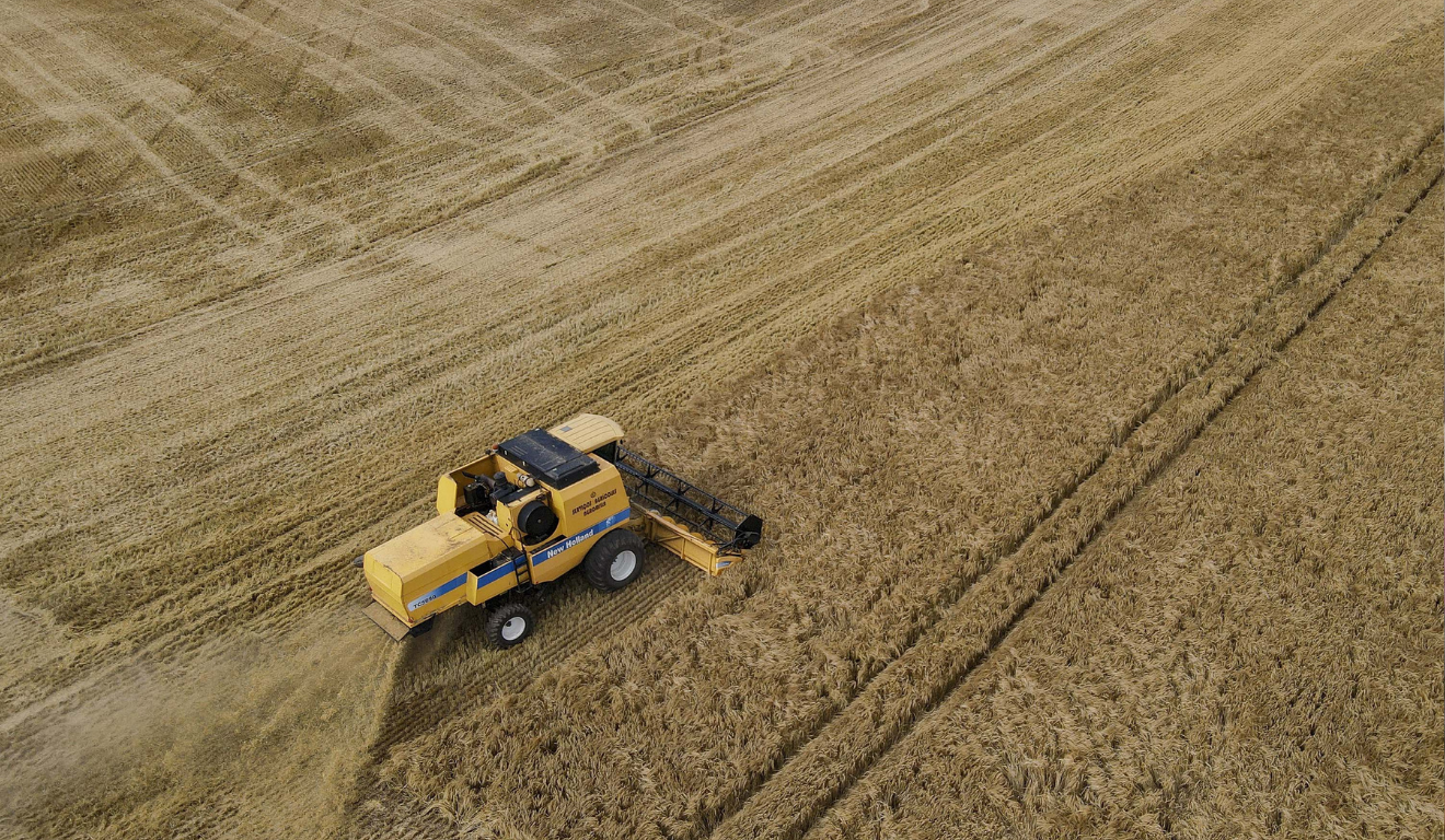 O Departamento de Economia Rural (Deral) do Paraná, estimou, em relatório divulgado ontem (25), que a produção de cevada na safra 2025/26 deve atingir 449 mil toneladas, um volume histórico para o grão no estado