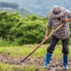 A Comissão de Agricultura, Pecuária, Abastecimento e Desenvolvimento Rural da Câmara dos Deputados aprovou, ontem (22), o Projeto de Lei 1751/25, do deputado Leo Prates (PDT-BA), que cria a Política Nacional de Saúde Mental para a agricultura familiar