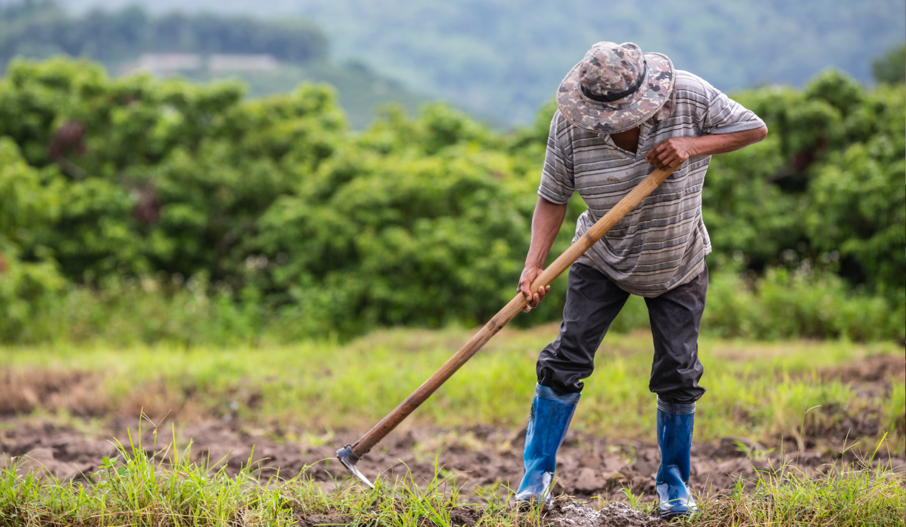 A Comissão de Agricultura, Pecuária, Abastecimento e Desenvolvimento Rural da Câmara dos Deputados aprovou, ontem (22), o Projeto de Lei 1751/25, do deputado Leo Prates (PDT-BA), que cria a Política Nacional de Saúde Mental para a agricultura familiar