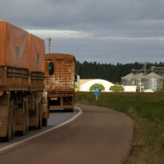 Fonte: CNA (Wenderson Araujo/Trilux)
