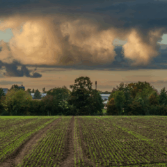 Estar atento à previsão do tempo e aos alertas meteorológicos é de suma importância para o produtor rural garantir boa produtividade e qualidade dos seus cultivos