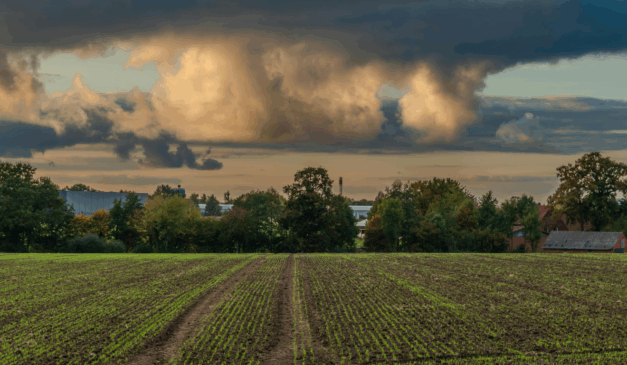 Estar atento à previsão do tempo e aos alertas meteorológicos é de suma importância para o produtor rural garantir boa produtividade e qualidade dos seus cultivos