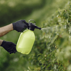 A área tratada com bioinsumos na agricultura brasileira alcançou 156 milhões de hectares na safra 2024/25, avanço de 13% no comparativo com a temporada anterior, indica acompanhamento da CropLife Brasil (CLB)