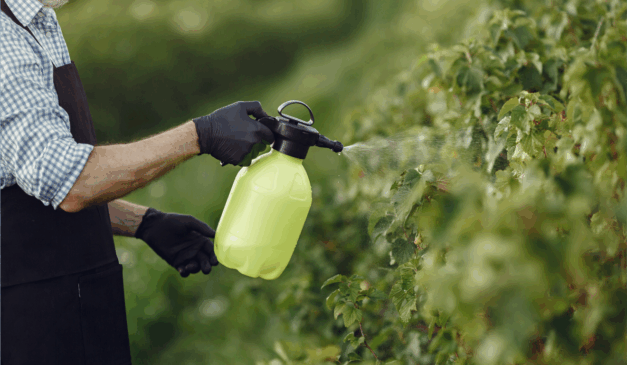 A área tratada com bioinsumos na agricultura brasileira alcançou 156 milhões de hectares na safra 2024/25, avanço de 13% no comparativo com a temporada anterior, indica acompanhamento da CropLife Brasil (CLB) A área tratada com bioinsumos na agricultura brasileira alcançou 156 milhões de hectares na safra 2024/25, avanço de 13% no comparativo com a temporada anterior, indica acompanhamento da CropLife Brasil (CLB)