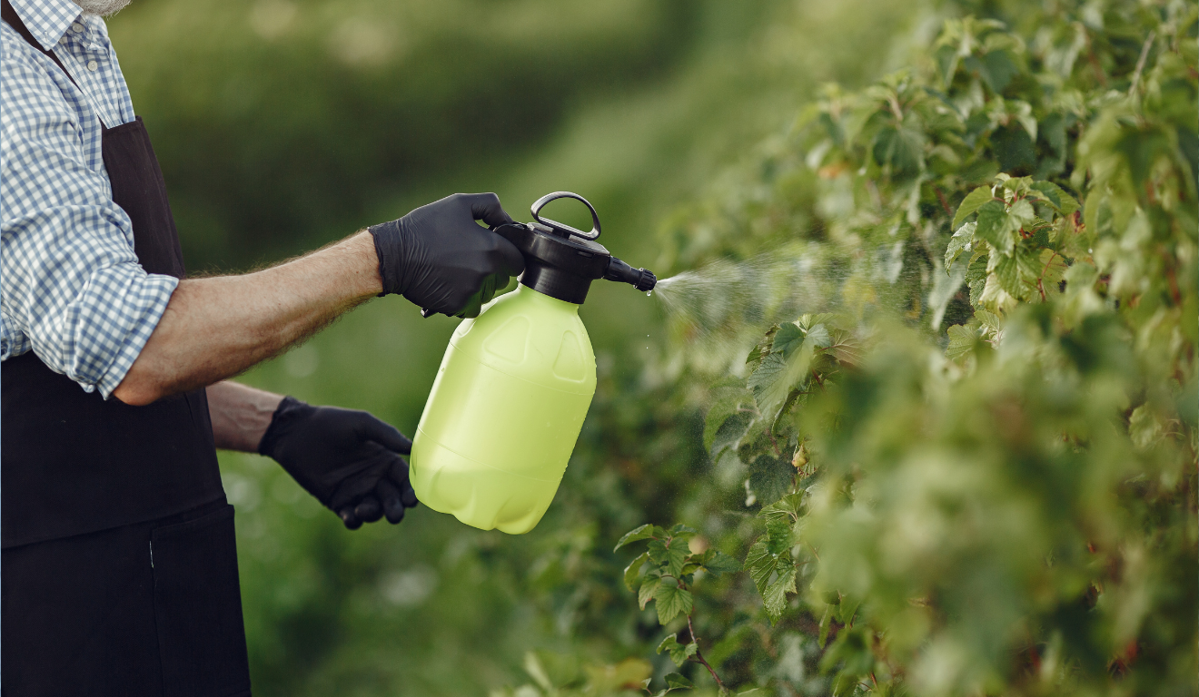 A área tratada com bioinsumos na agricultura brasileira alcançou 156 milhões de hectares na safra 2024/25, avanço de 13% no comparativo com a temporada anterior, indica acompanhamento da CropLife Brasil (CLB) A área tratada com bioinsumos na agricultura brasileira alcançou 156 milhões de hectares na safra 2024/25, avanço de 13% no comparativo com a temporada anterior, indica acompanhamento da CropLife Brasil (CLB)