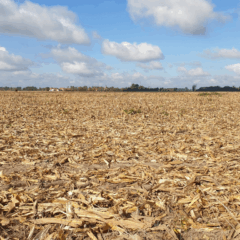 Conforme informado pelo Ministério da Agricultura e Pecuária (Mapa), o Brasil perde cerca de US$ 2,5 bilhões por ano com áreas agrícolas que ocupam pastagens degradadas, em decorrência da erosão hídrica