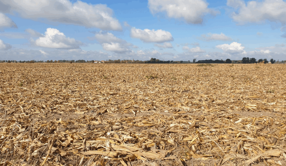 Conforme informado pelo Ministério da Agricultura e Pecuária (Mapa), o Brasil perde cerca de US$ 2,5 bilhões por ano com áreas agrícolas que ocupam pastagens degradadas, em decorrência da erosão hídrica