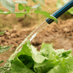 A água é um elemento vital para a vida humana. No campo, não é diferente. Sem ela, não há germinação de sementes, crescimento de plantas ou colheita farta. No entanto, não basta apenas “ter água”; é preciso entender como funciona o ciclo da água