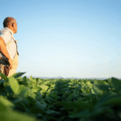 A Comissão de Agricultura da Câmara dos Deputados aprovou o projeto de lei que destina 1% do ITR para a qualificação profissional no campo