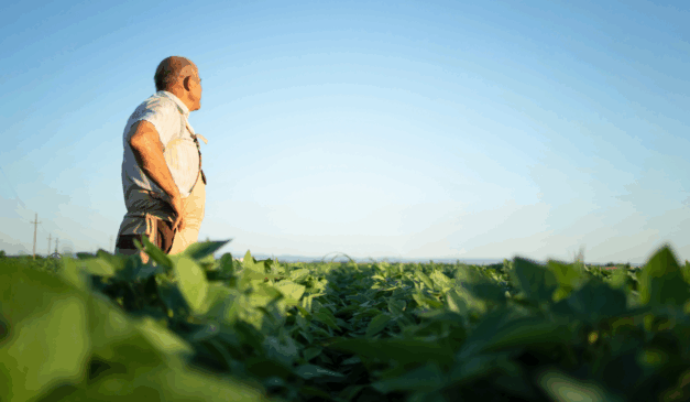A Comissão de Agricultura da Câmara dos Deputados aprovou o projeto de lei que destina 1% do ITR para a qualificação profissional no campo