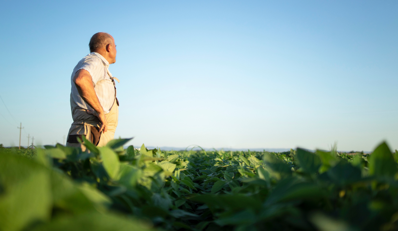 A Comissão de Agricultura da Câmara dos Deputados aprovou o projeto de lei que destina 1% do ITR para a qualificação profissional no campo