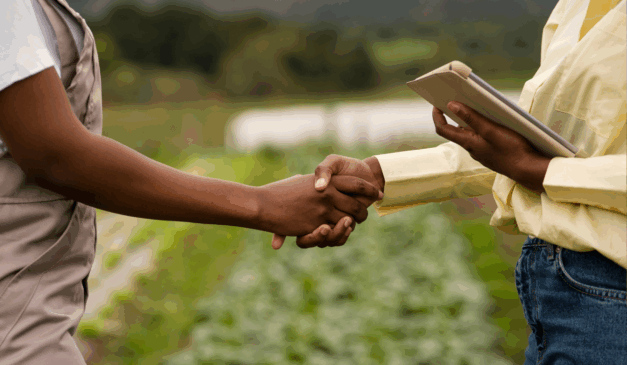 O cooperativismo fortalece a agricultura familiar ao unir produtores, ampliar a escala de produção e gerar desenvolvimento no campo