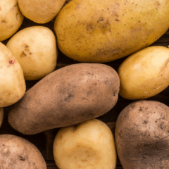 Conheça a Deutschips, empresa do Rio Grande do Sul que transforma batatas do campo em snacks fáceis de consumir