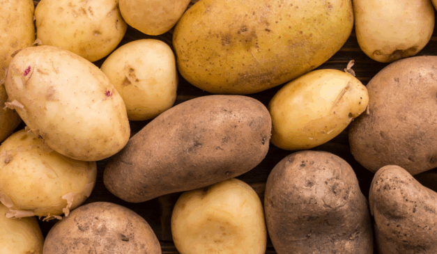 Conheça a Deutschips, empresa do Rio Grande do Sul que transforma batatas do campo em snacks fáceis de consumir