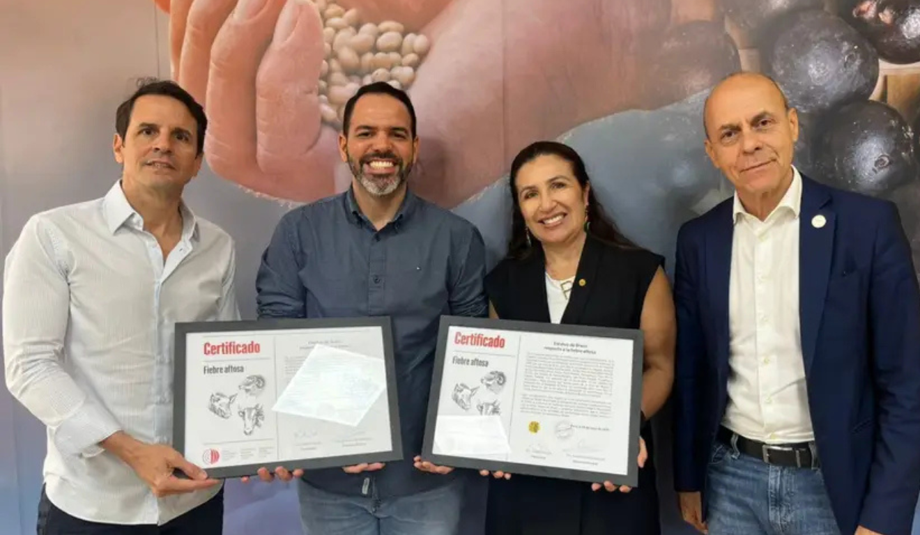 Pará recebe certificado internacional de zona livre de febre aftosa