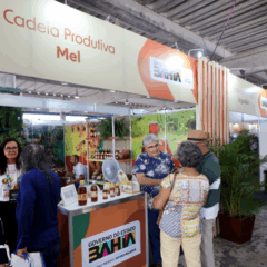 Feira acontece em Salvador (BA), no final do mês de novembro, e reune programação sobre pecuária e agricultura