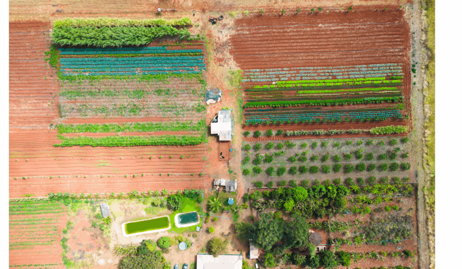 A Comissão de Agricultura, Pecuária, Abastecimento e Desenvolvimento Rural da Câmara dos Deputados aprovou uma proposta que estende até 2030 o prazo para que proprietários rurais concluam o georreferenciamento de suas terras.
