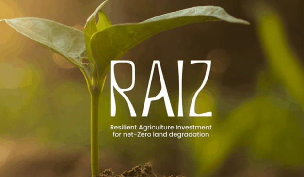 Brasil lança iniciativa Raiz, para recuperação de áreas agrícolas degradadas Brasil lança iniciativa Raiz, para recuperação de áreas agrícolas degradadas