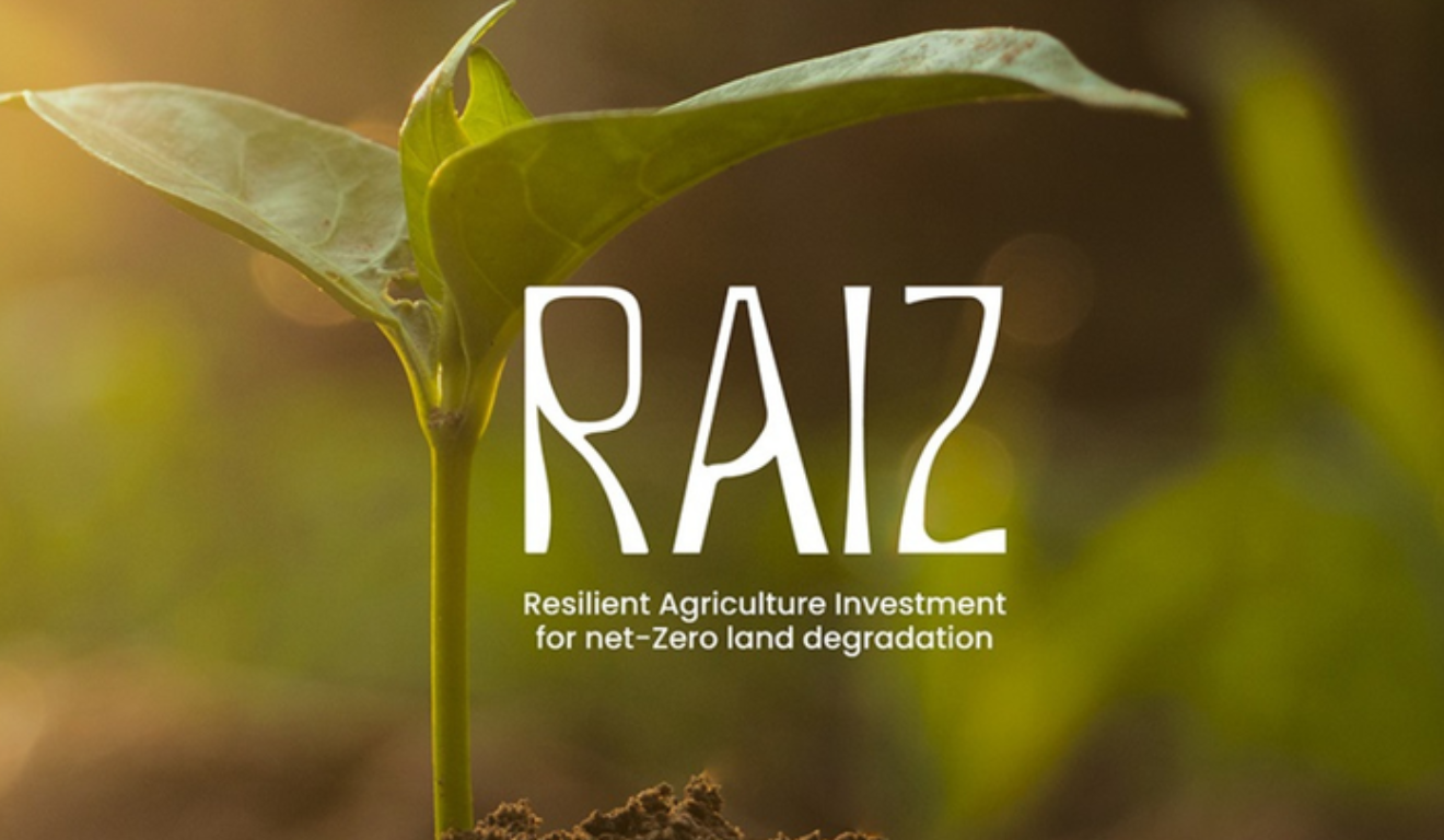 Brasil lança iniciativa para recuperação de áreas degradadas